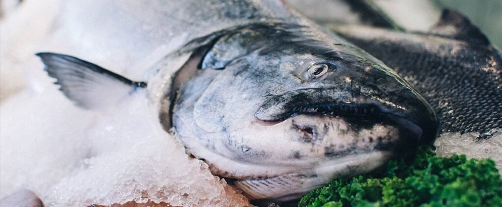 Balanzas para pescadería